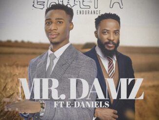 Download Music: Mr Damz pride us with Lawepa (Endurance) Ft E Daniels